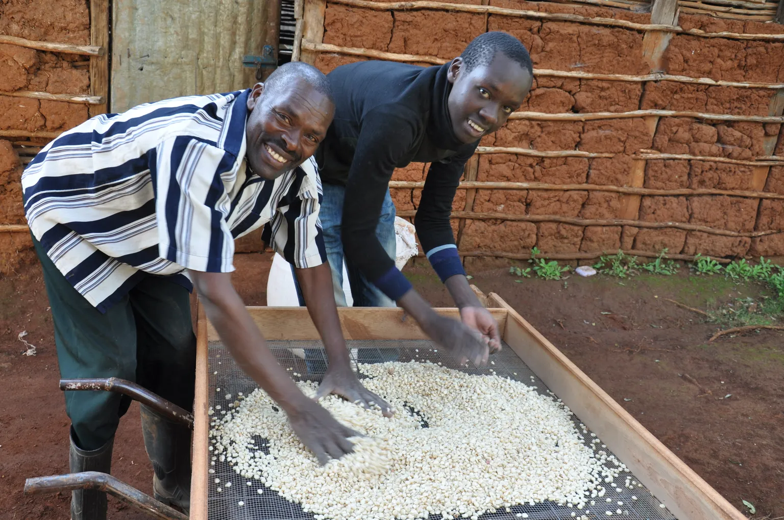 Exceeding expectations: Kuona Mbele Cooperative in Kenya conquers new markets