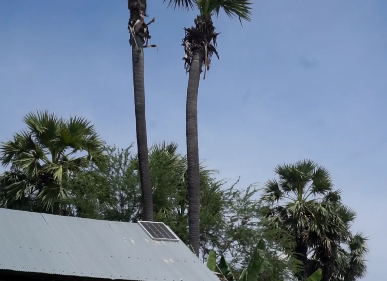 Solar panels on a local house