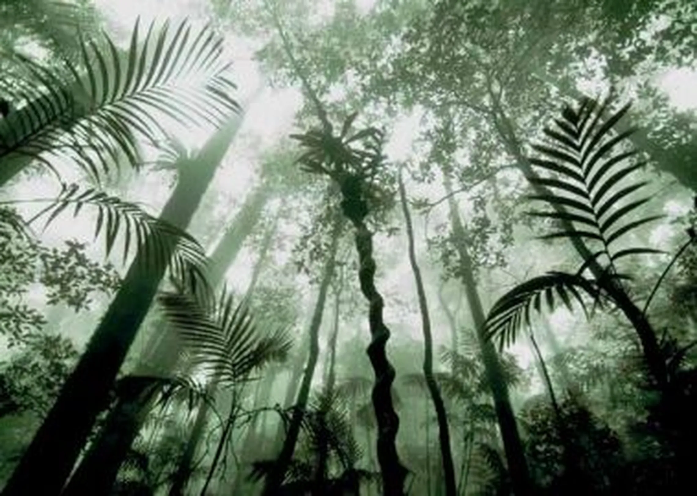 ENRICH: Understanding Forest Carbon Stock Enhancement in Laos