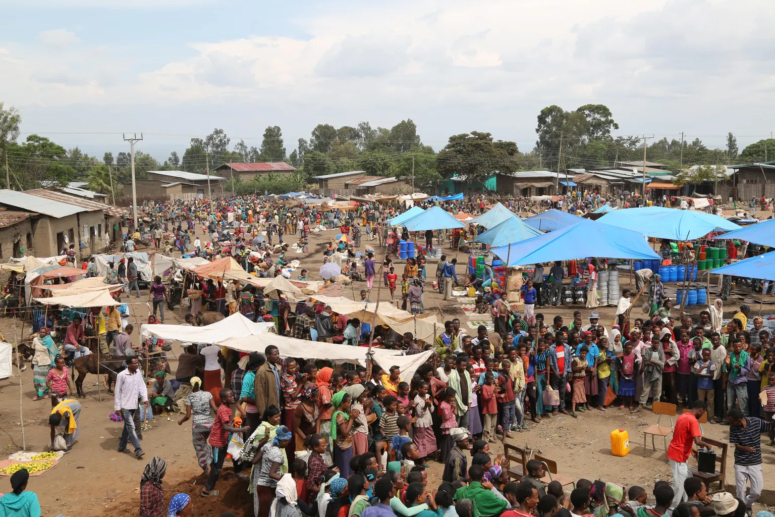 Improving the livelihoods of women and young people in Addis Ababa