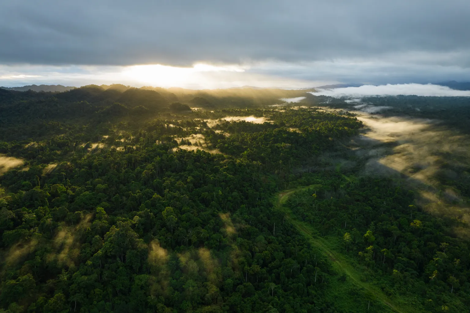 Landscape Indonesia (DFCD)