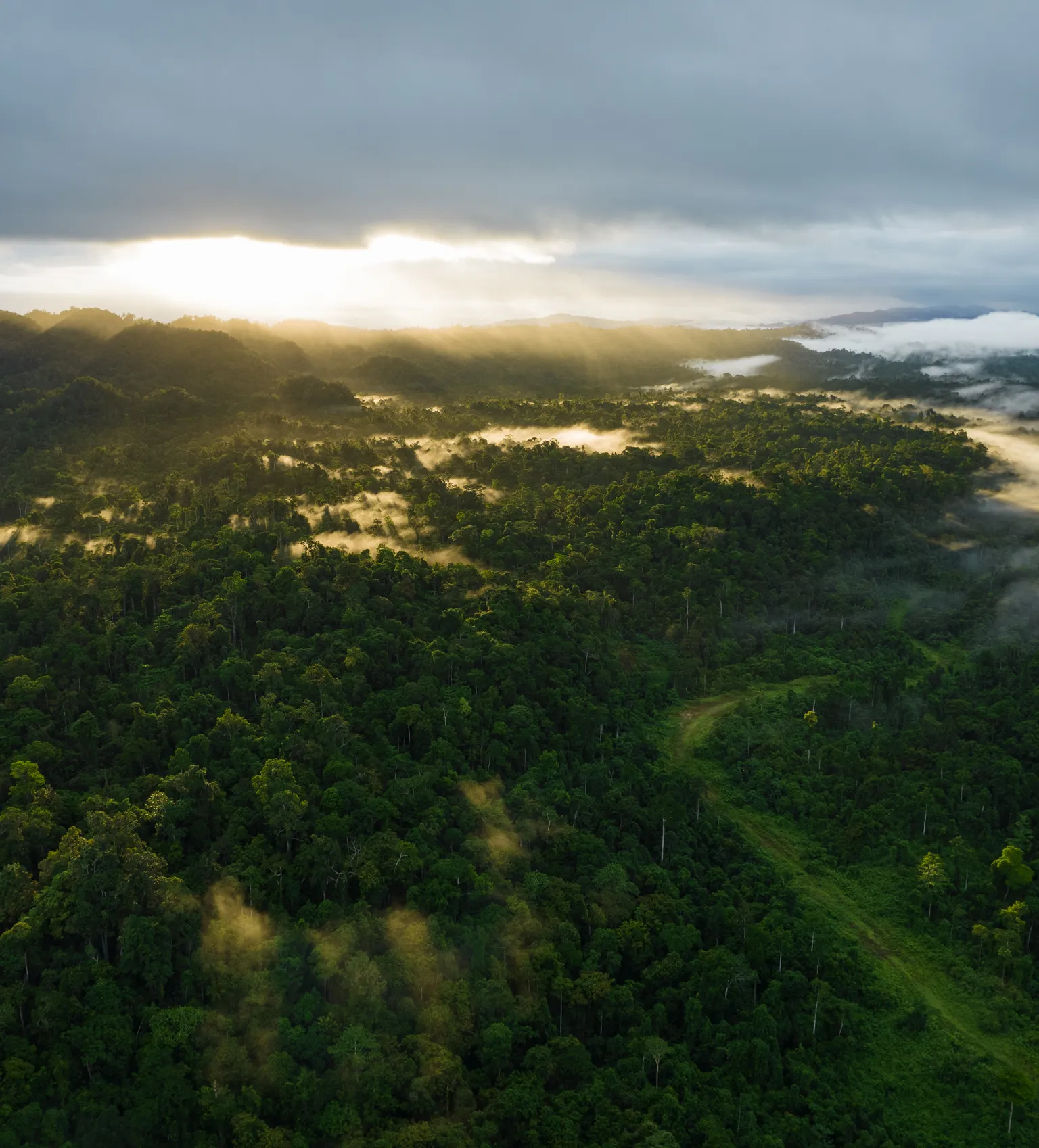 Landscape Indonesia (DFCD)