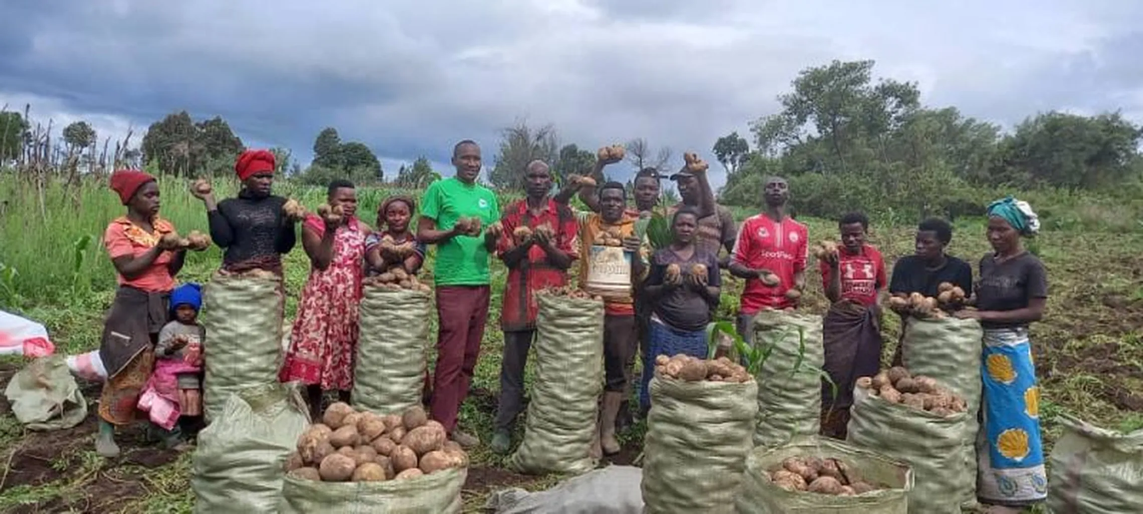Zawadi Sanga along with other farmers from Magoye harvesting potatoes from their demo plot in Makete