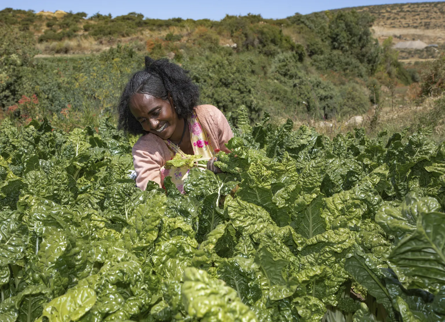 A female farmer in Ethiopia on her farm