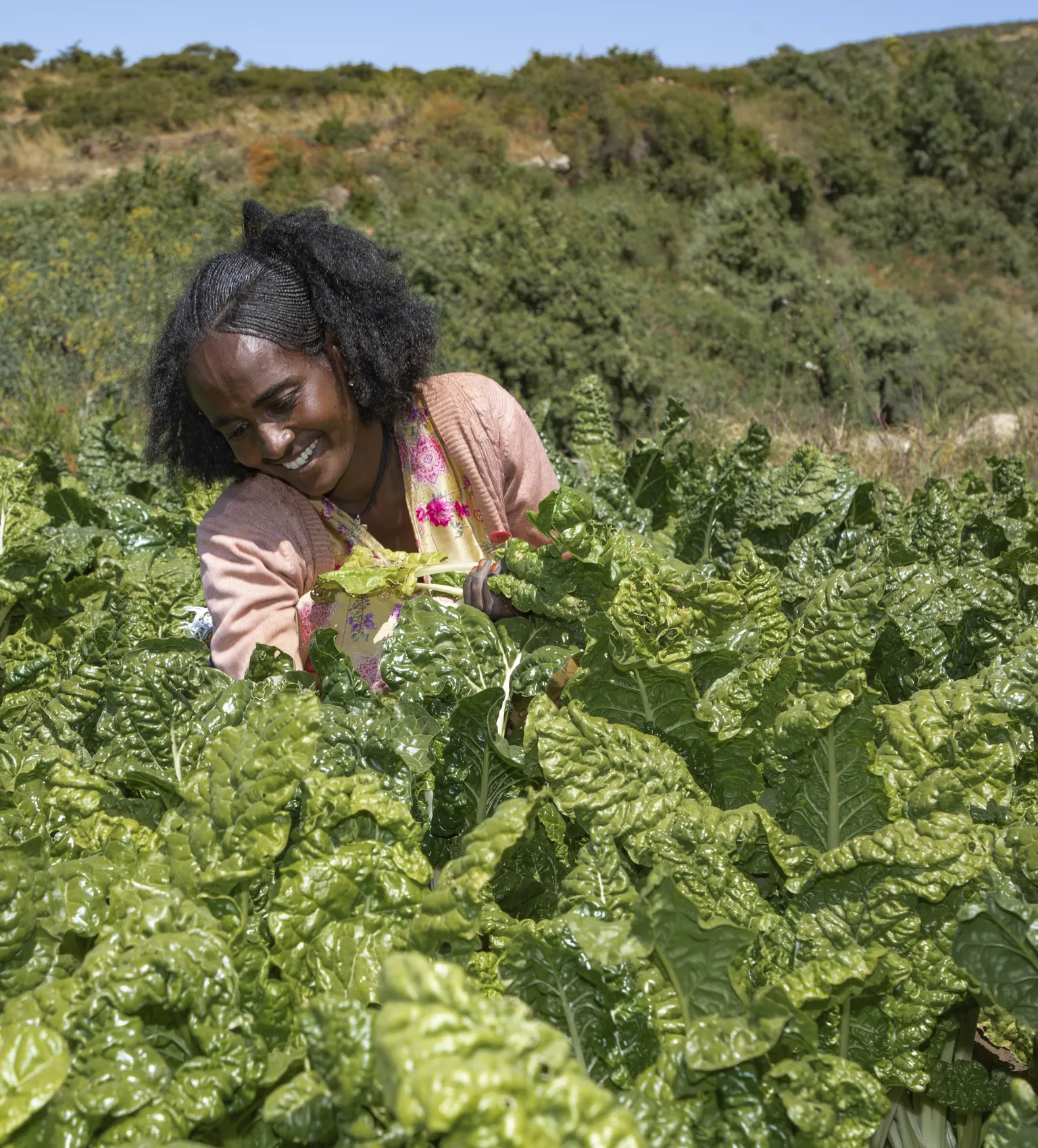 A female farmer in Ethiopia on her farm