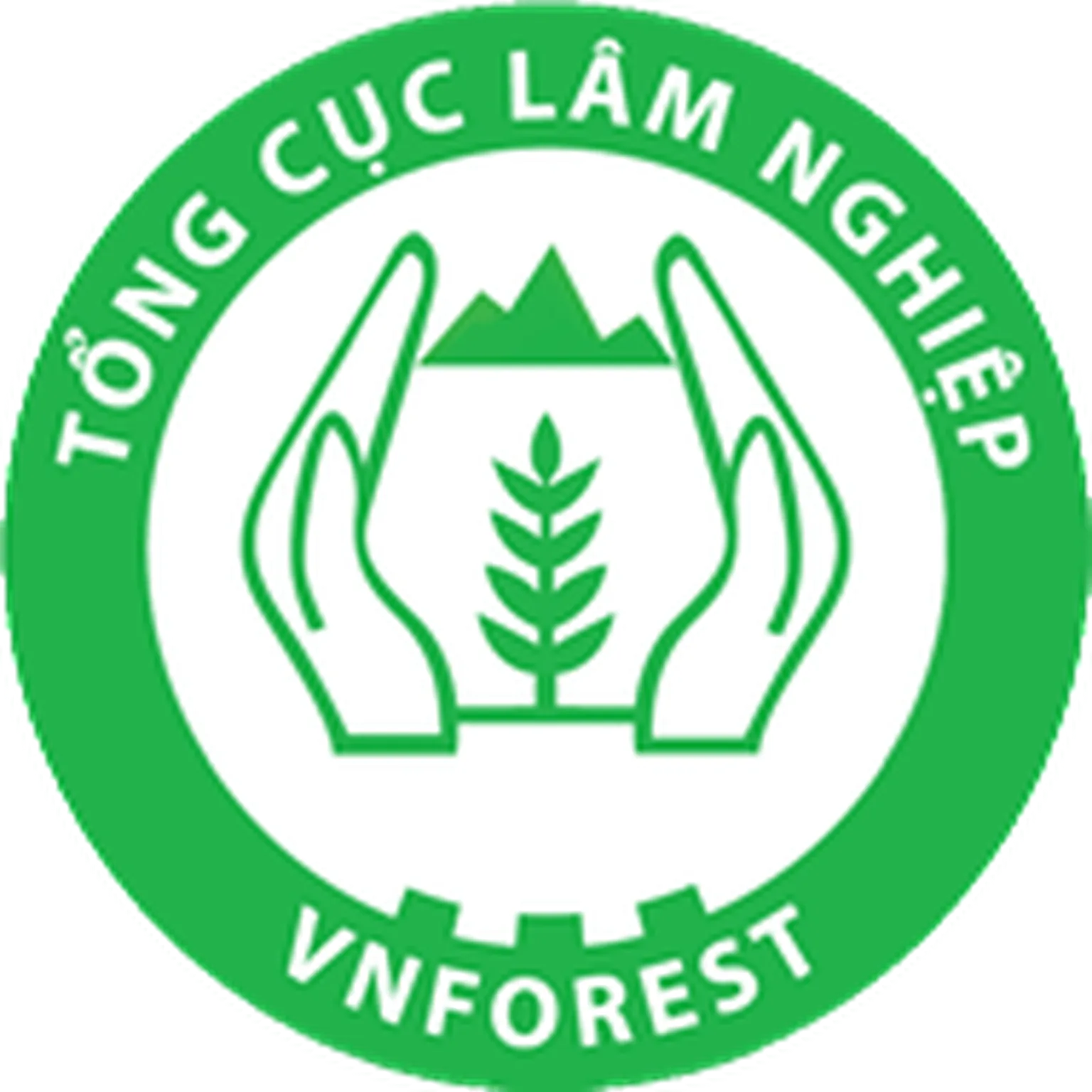 Vietnam Administration of Forestry logo