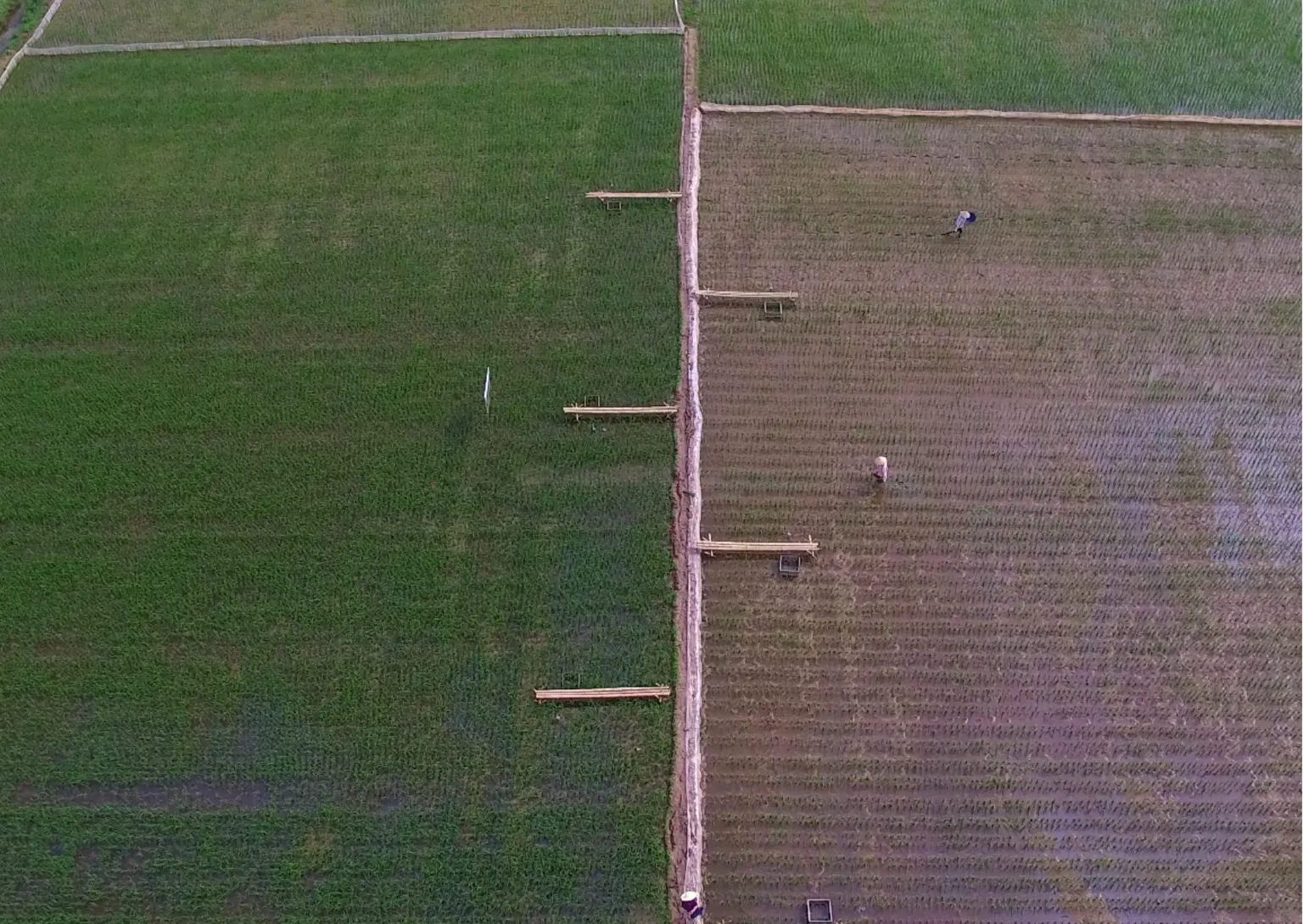 a photo of agriculture fields