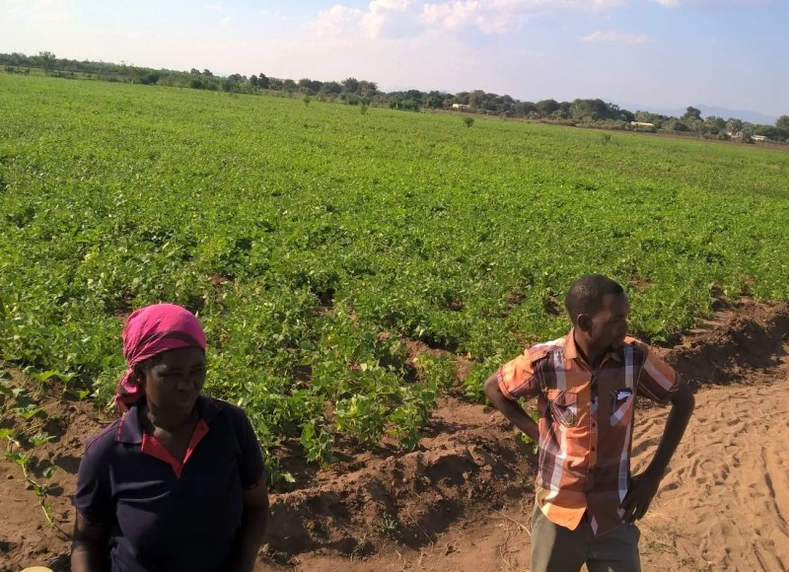 People standing next to field