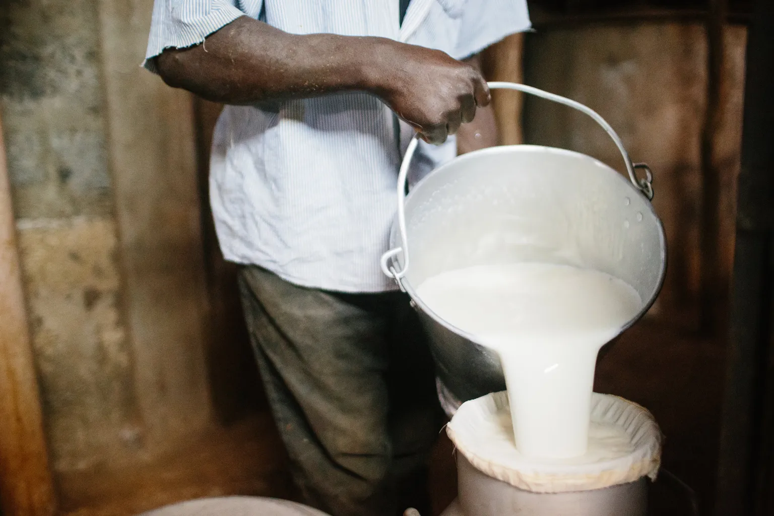 Mr Wilson Kanyoi is a member of Muki Dairy Farmers Cooperative Society and one of its leading farmers. Wilson lives in the town of Engineer, Nyandarua County, about 40 kilometres east of Naivasha. A few years ago, he started farming with two cows. Due to his participation in the Kenya Market-led Dairy Programme (KMDP) he has been able to expand and now has eleven cows.