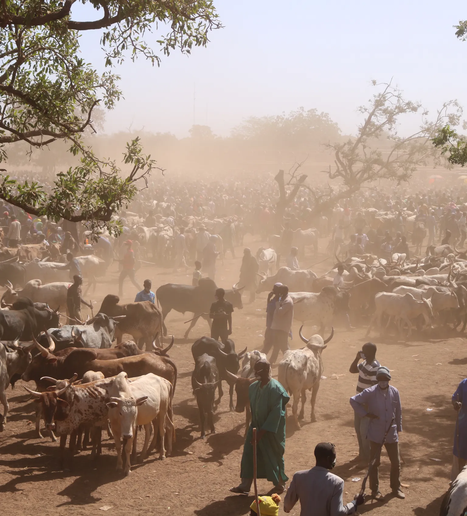 agropastoralists