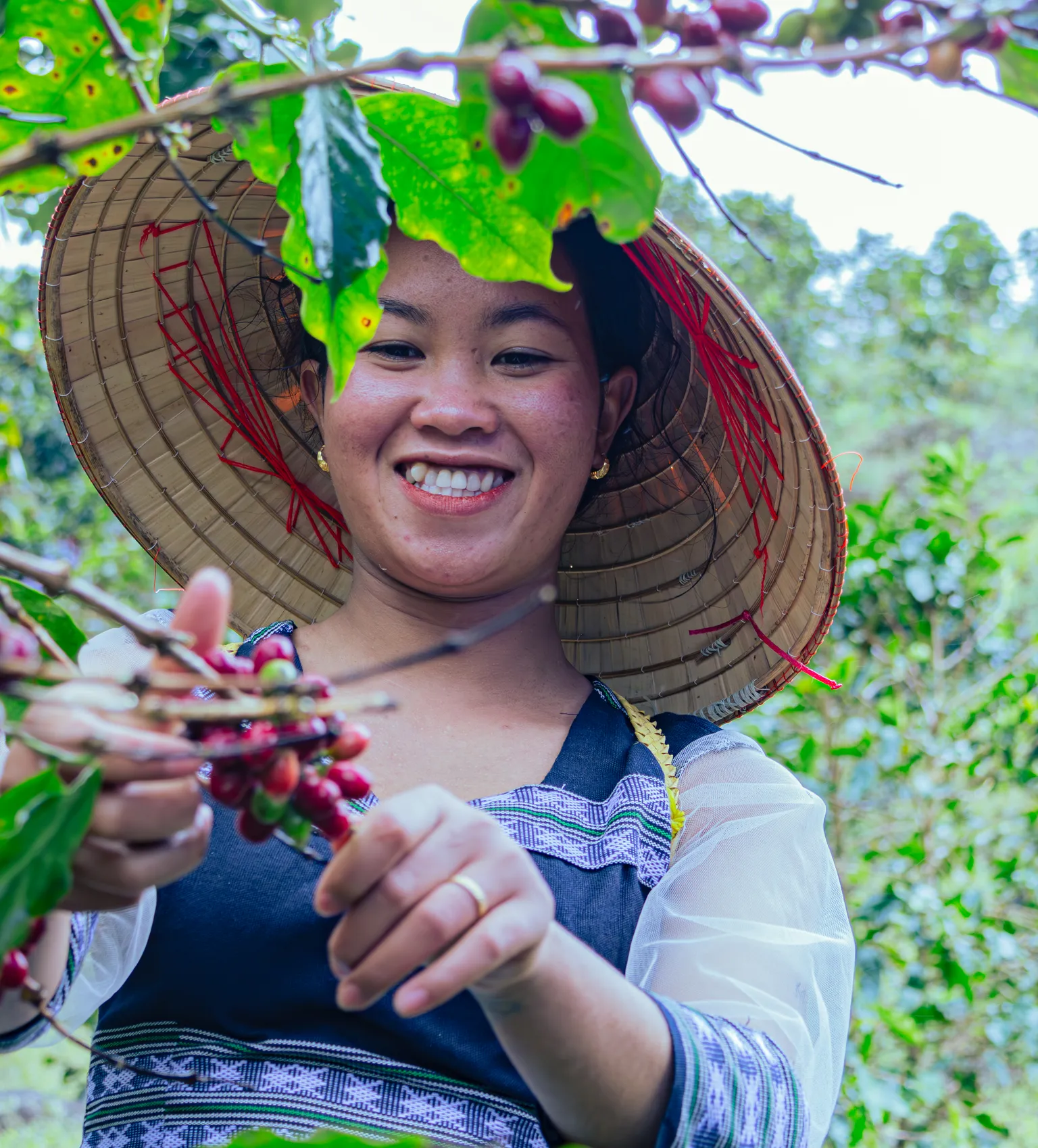 Woman in coffee farm in Vietnam