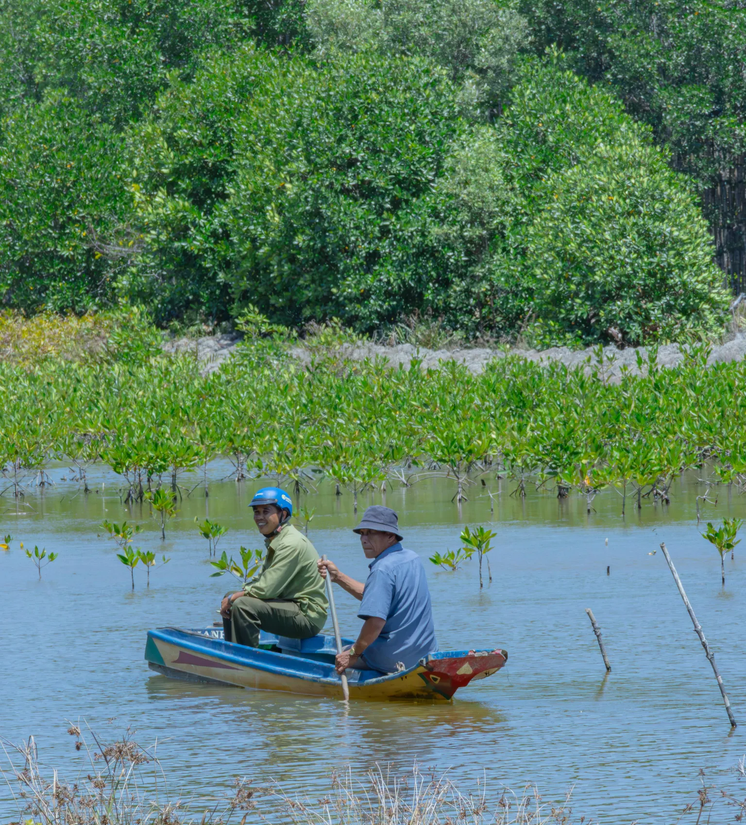 Shrimp farmes in boat surrounded by mangroves