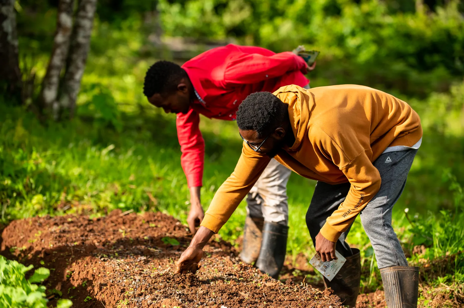 Youth planting crops