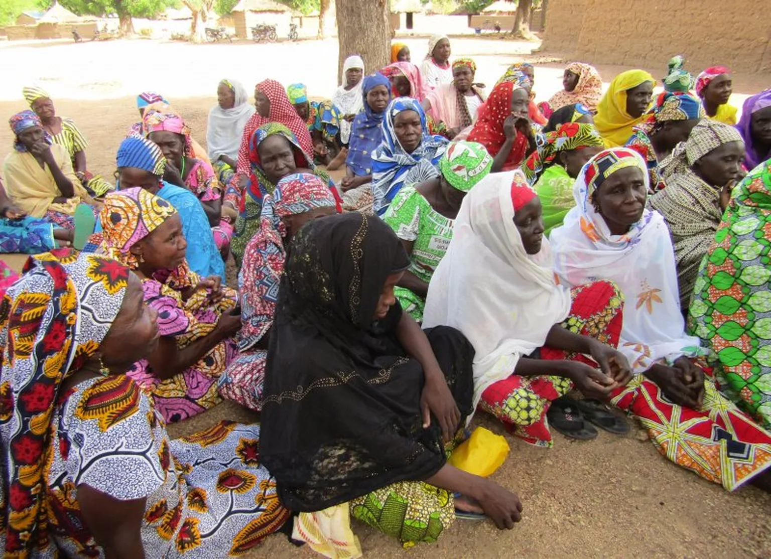 Bridging the nutrition gap in Cameroon