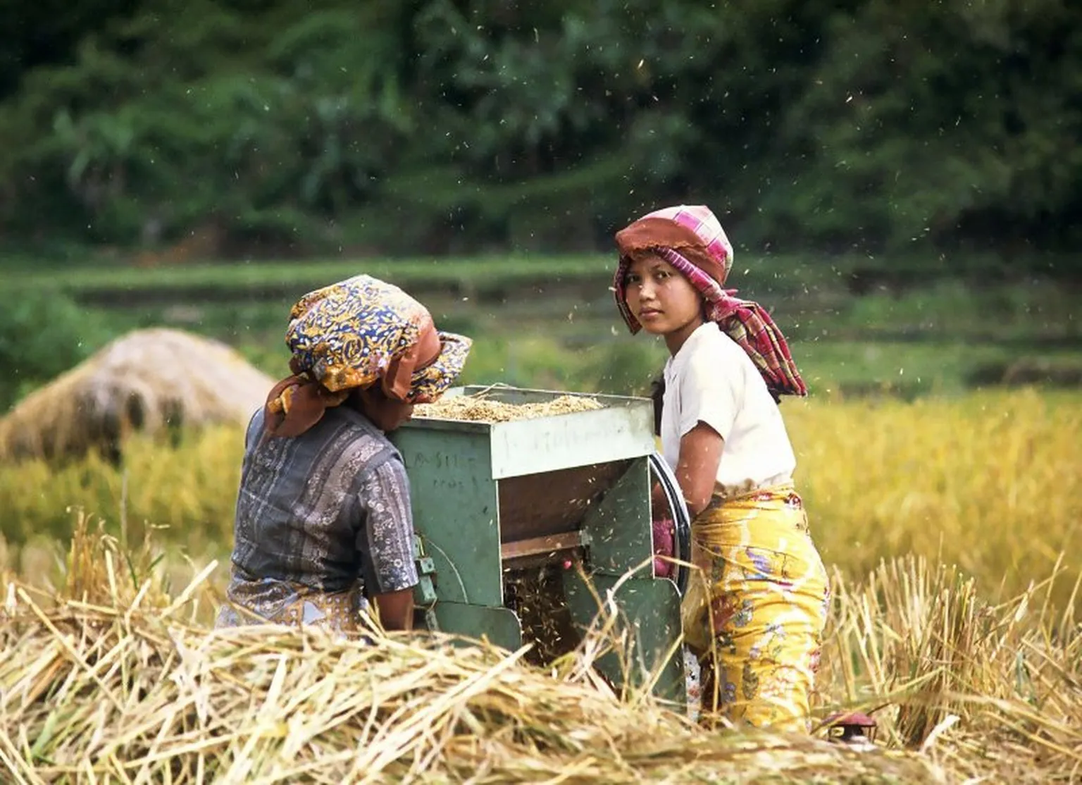 Building a strong evidence base for policy making in Indonesia