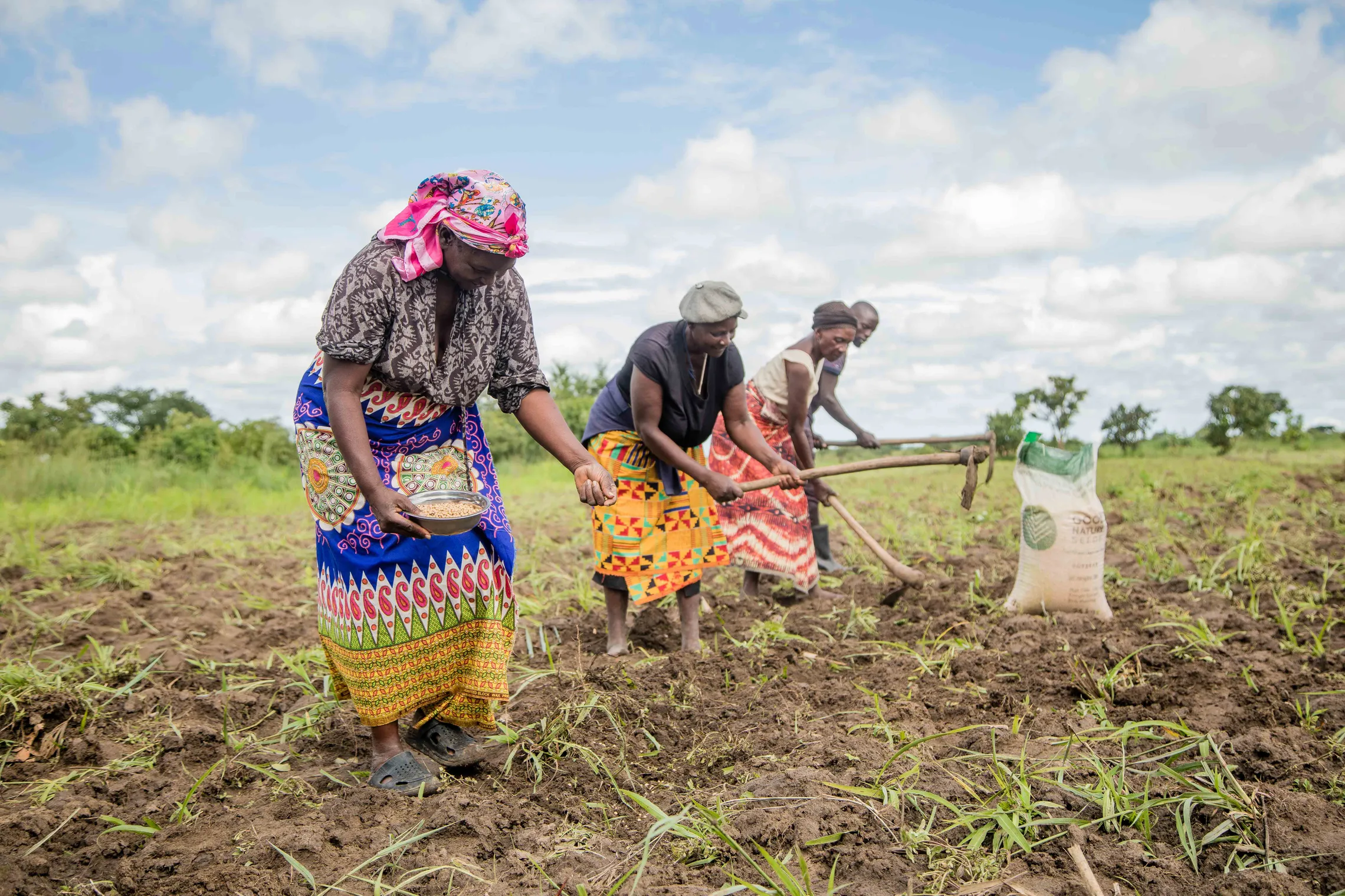 Four women in planting and hoeing a plowed field, engaged in enterprises supported by IAP .