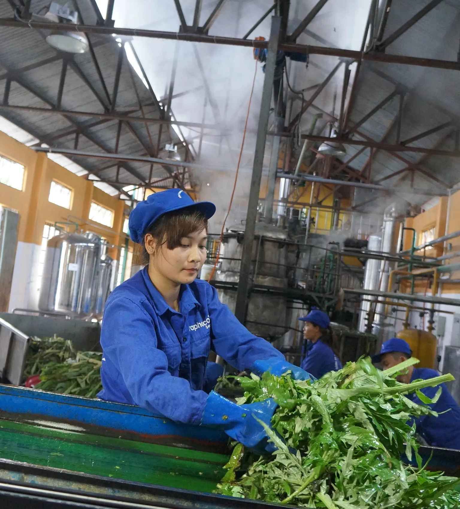 Inclusive business can play a key role in achieving the Sustainable Development Goals