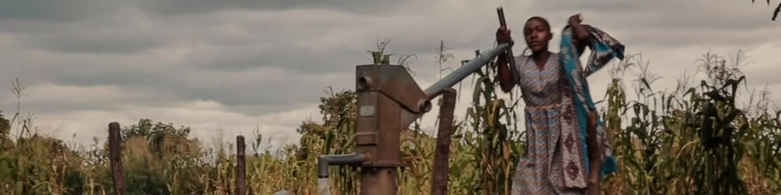 Woman pumping a manual water pump.