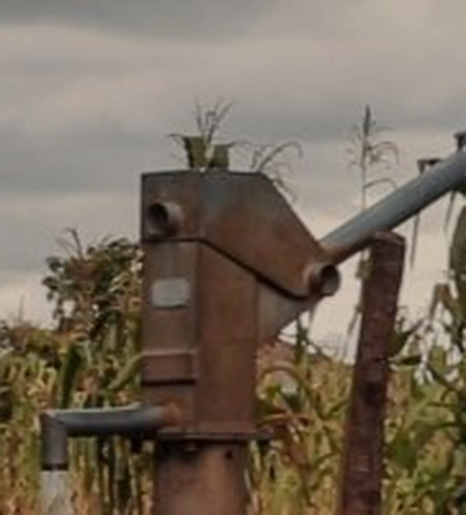 Woman pumping a manual water pump.