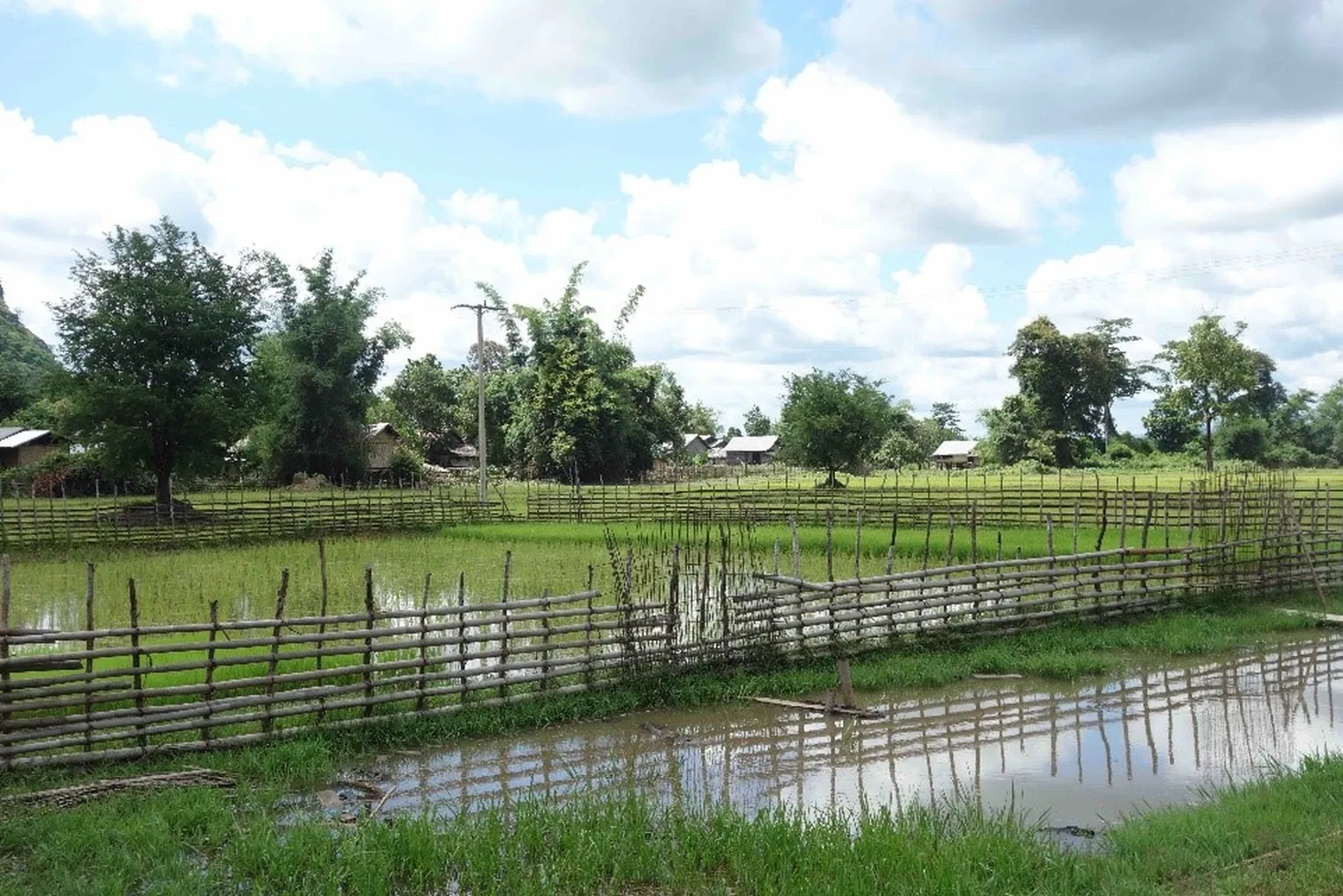 Analysing rainfall to help farmers adapt to climate change