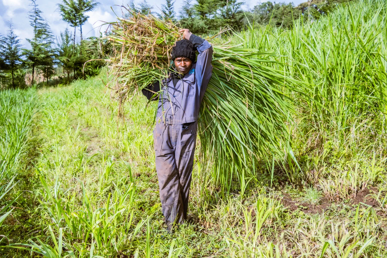 A dairy farmer in Mau