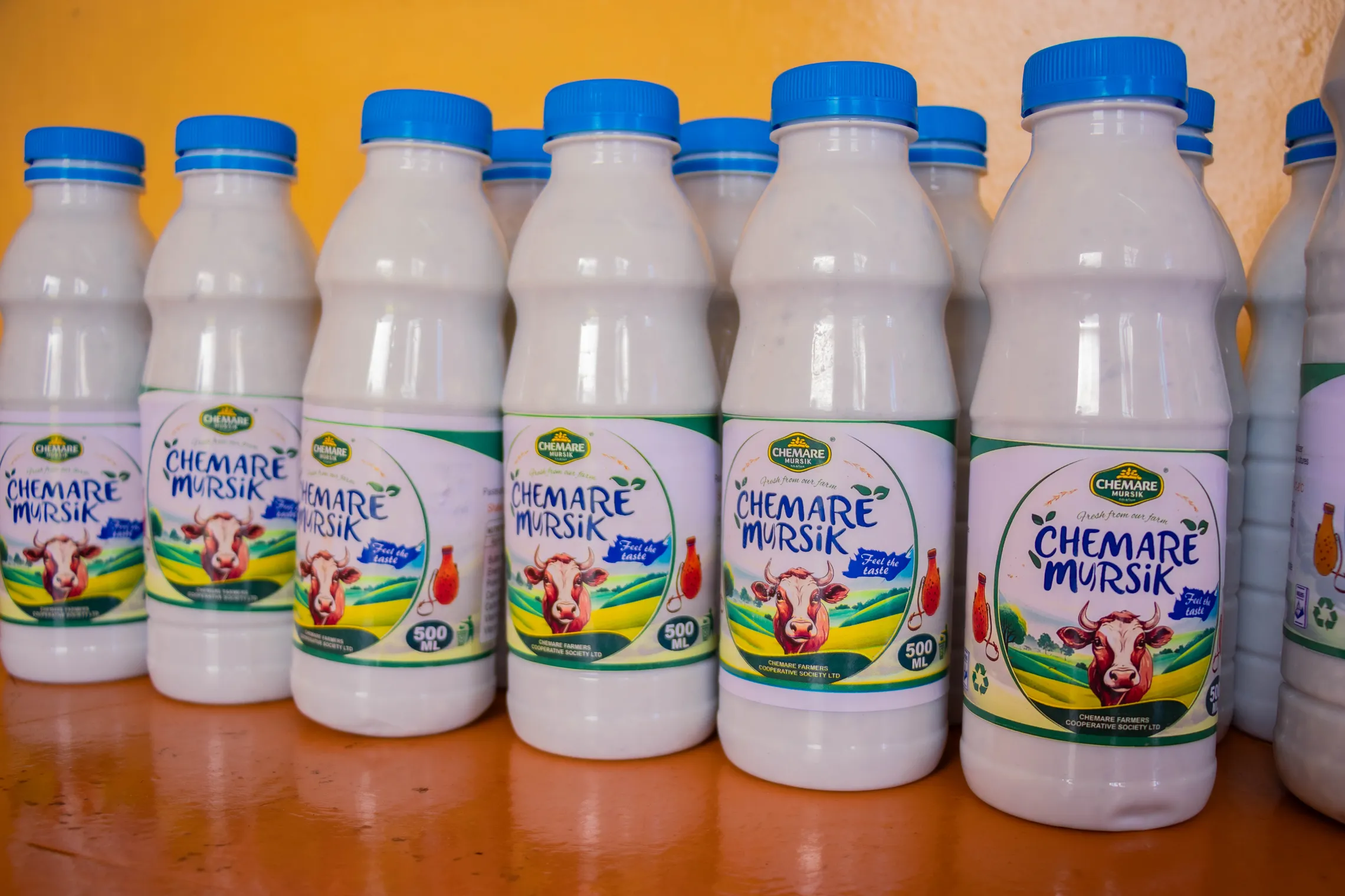 Value added milk from the Chemare cooperative