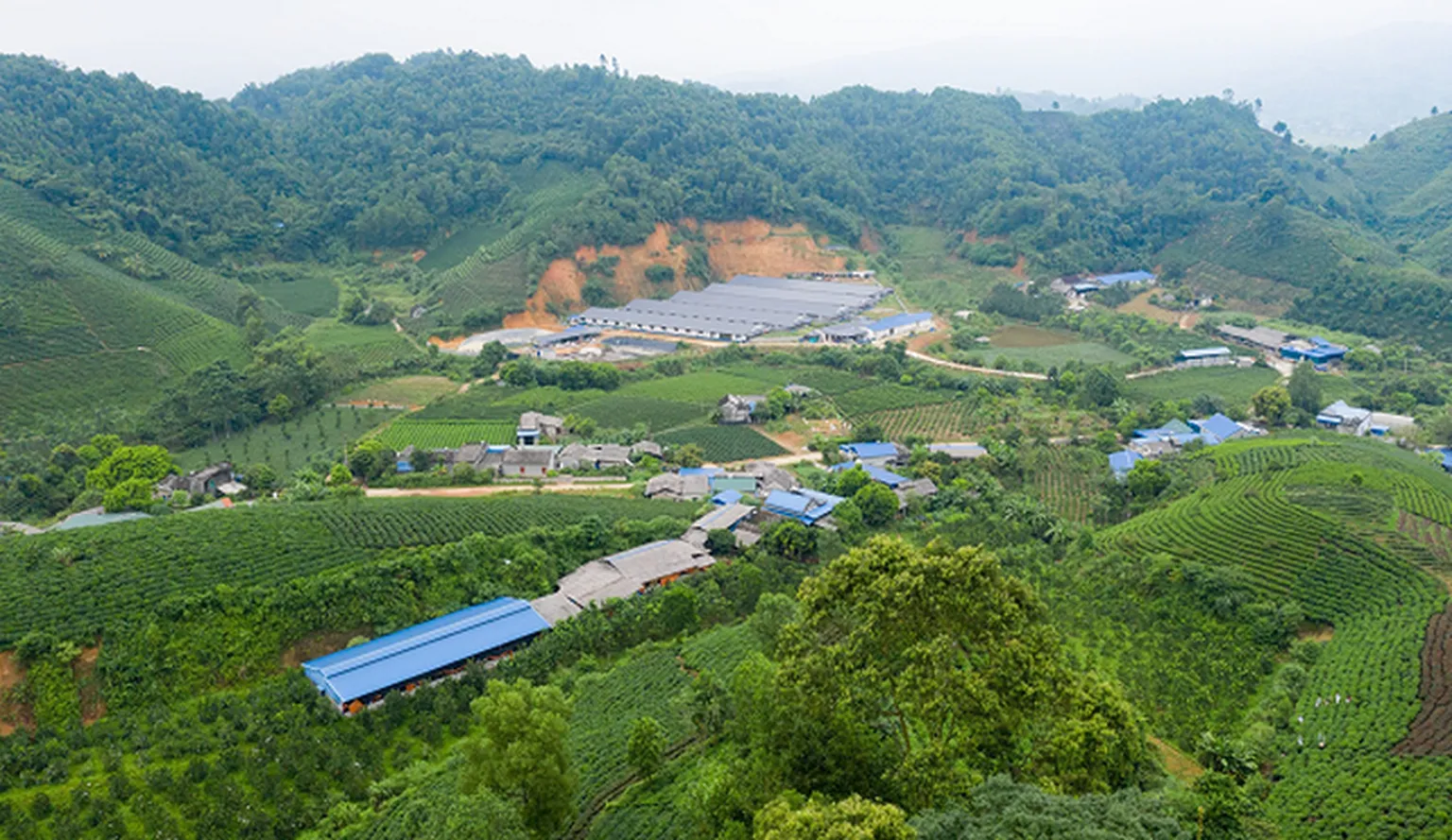 Aerial view of the project