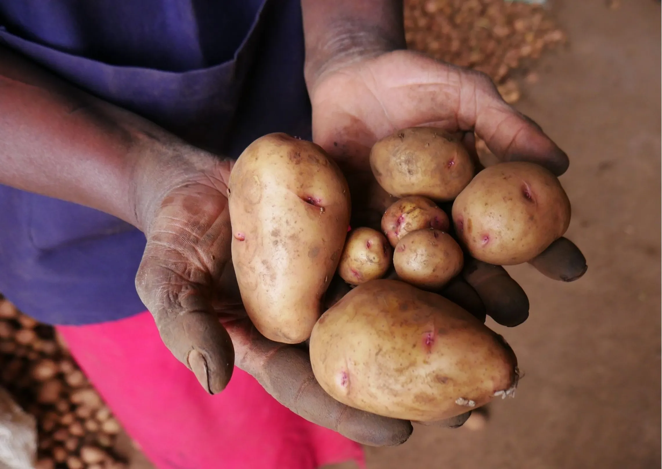 Potatoes