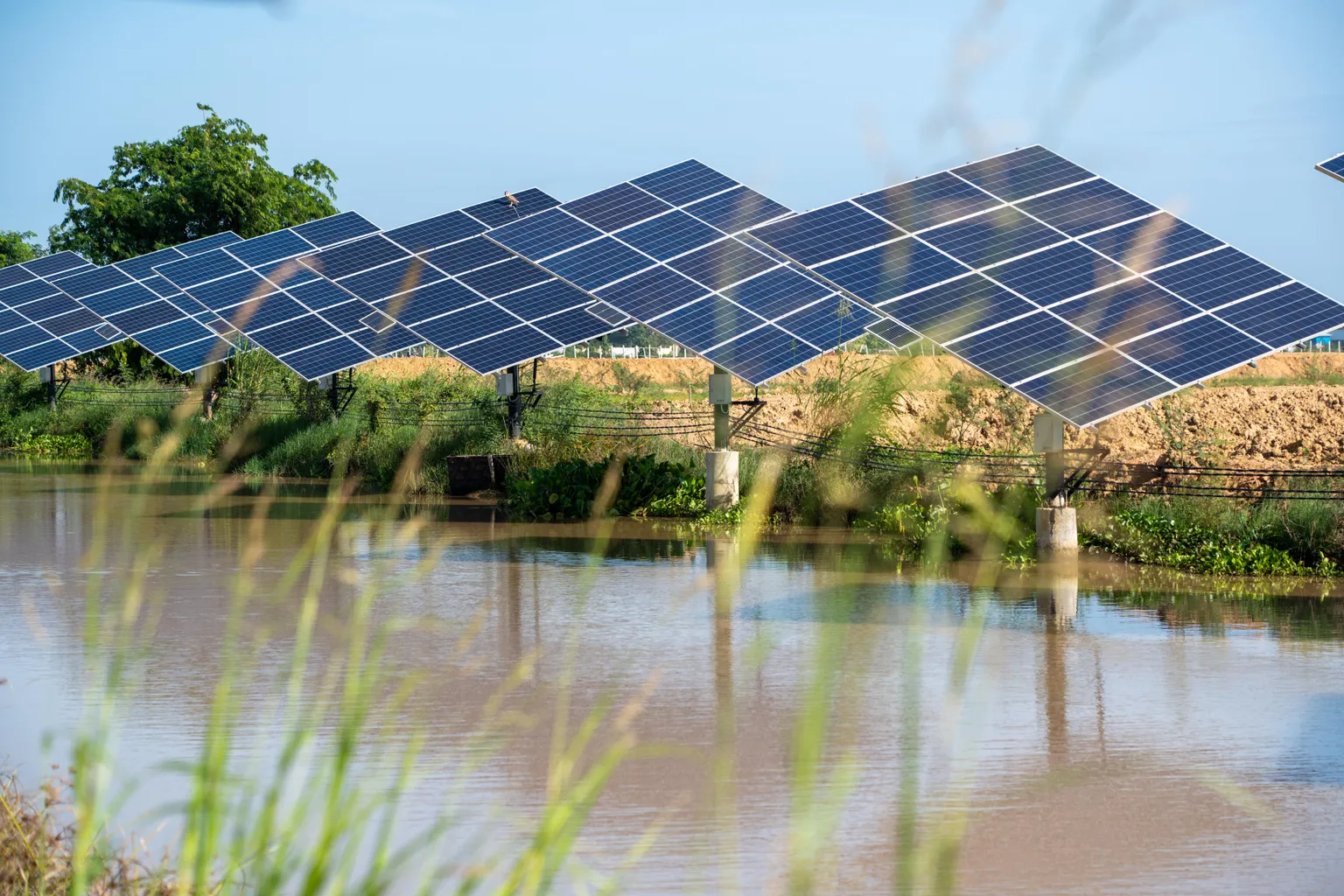 Solar panels above a reflective water body, surrounded by greenery under a clear blue sky.