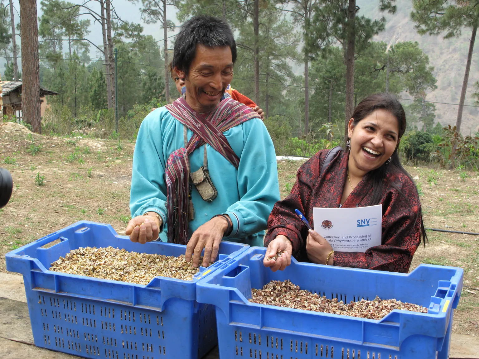 Vegetable Value Chain Programme 