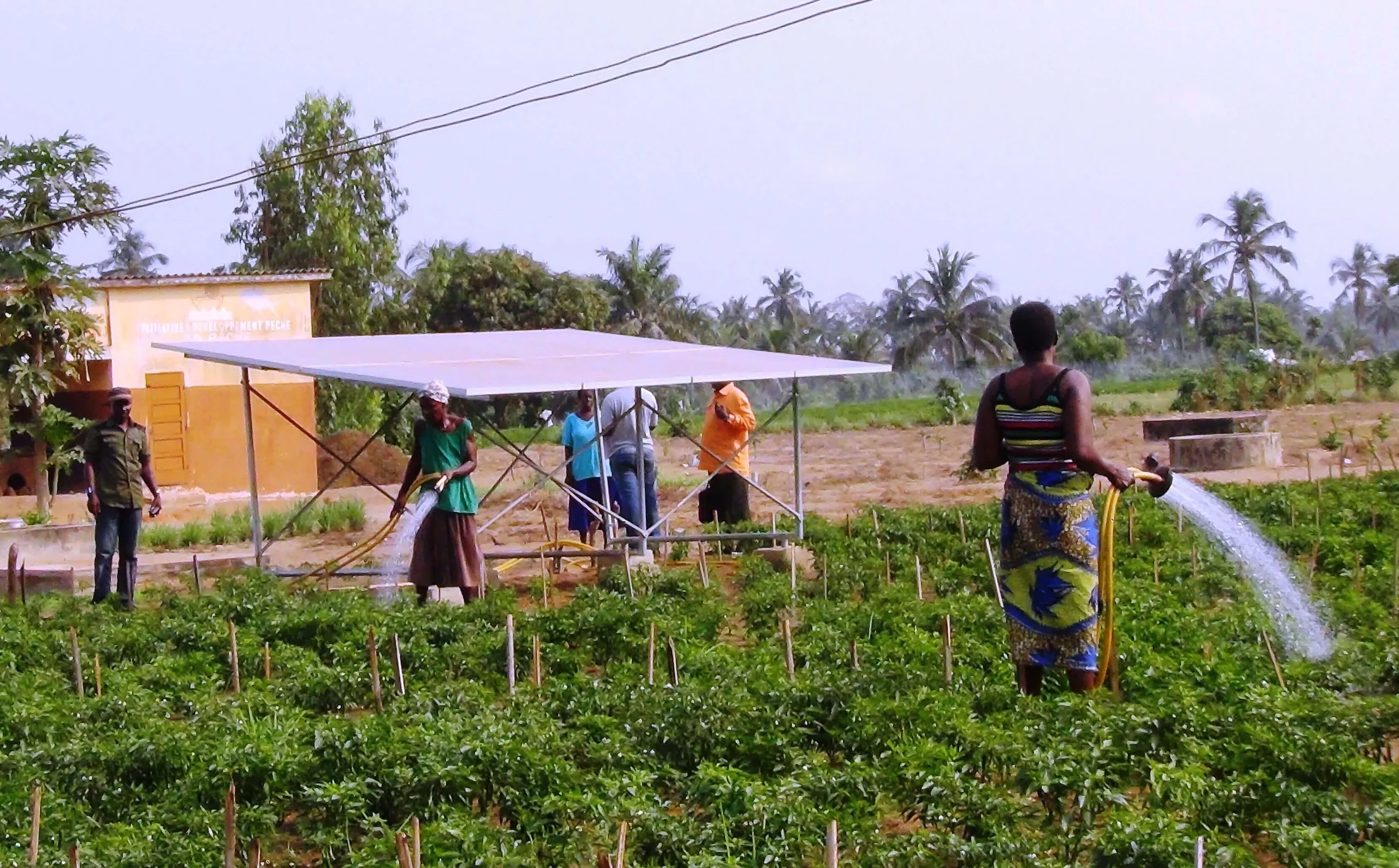 Solar irrigation