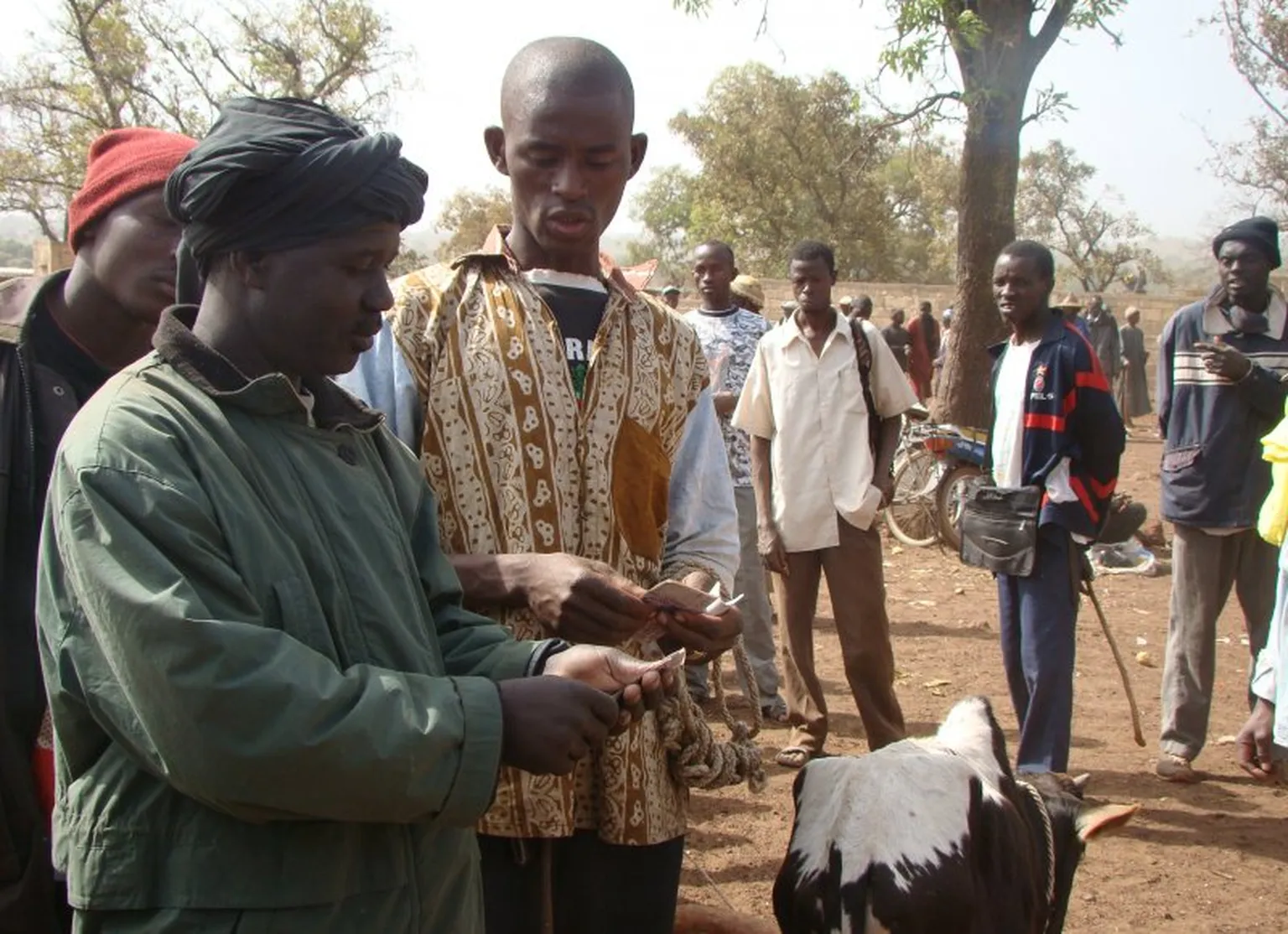 Pastoralist trek many miles to sell their cattle