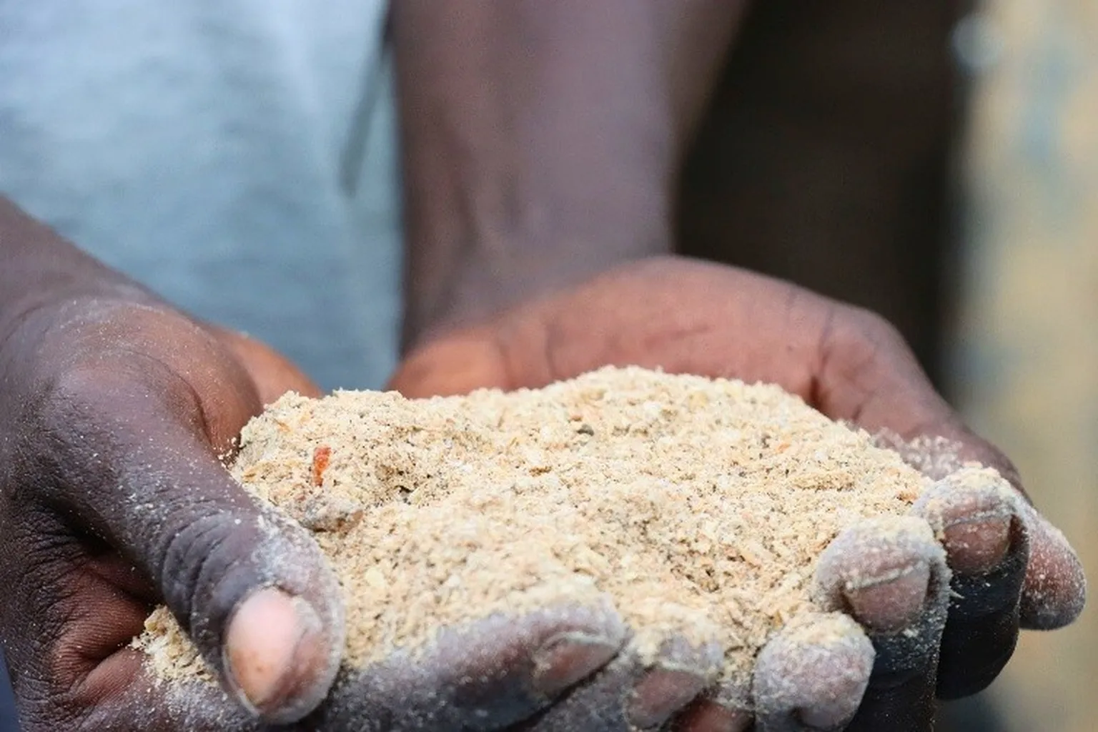 Close-up of cupped hands holding a heap of coarse pale meal or flour, fine dust clinging to the fingertips.