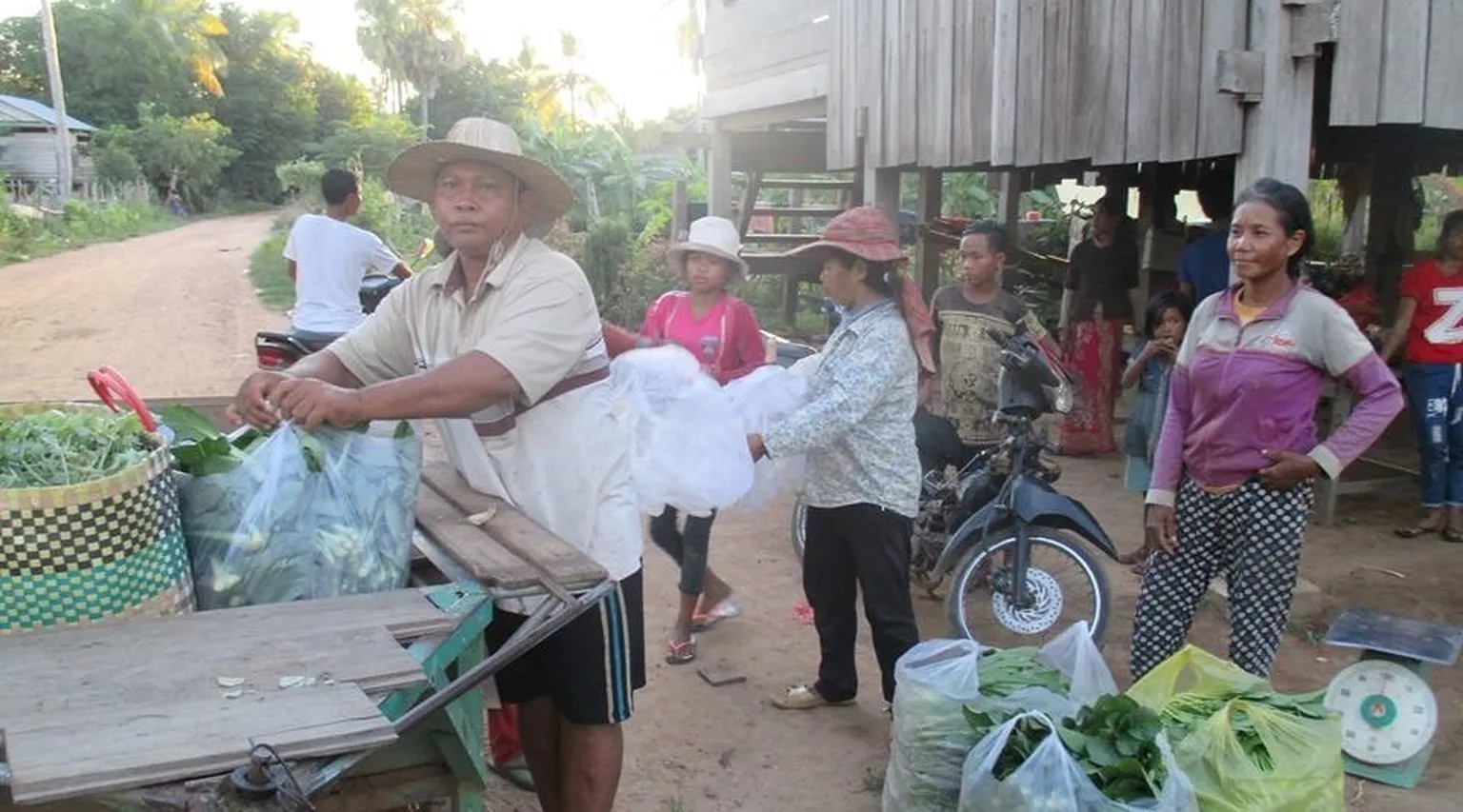 The harvest is sold to traders who visit the group daily