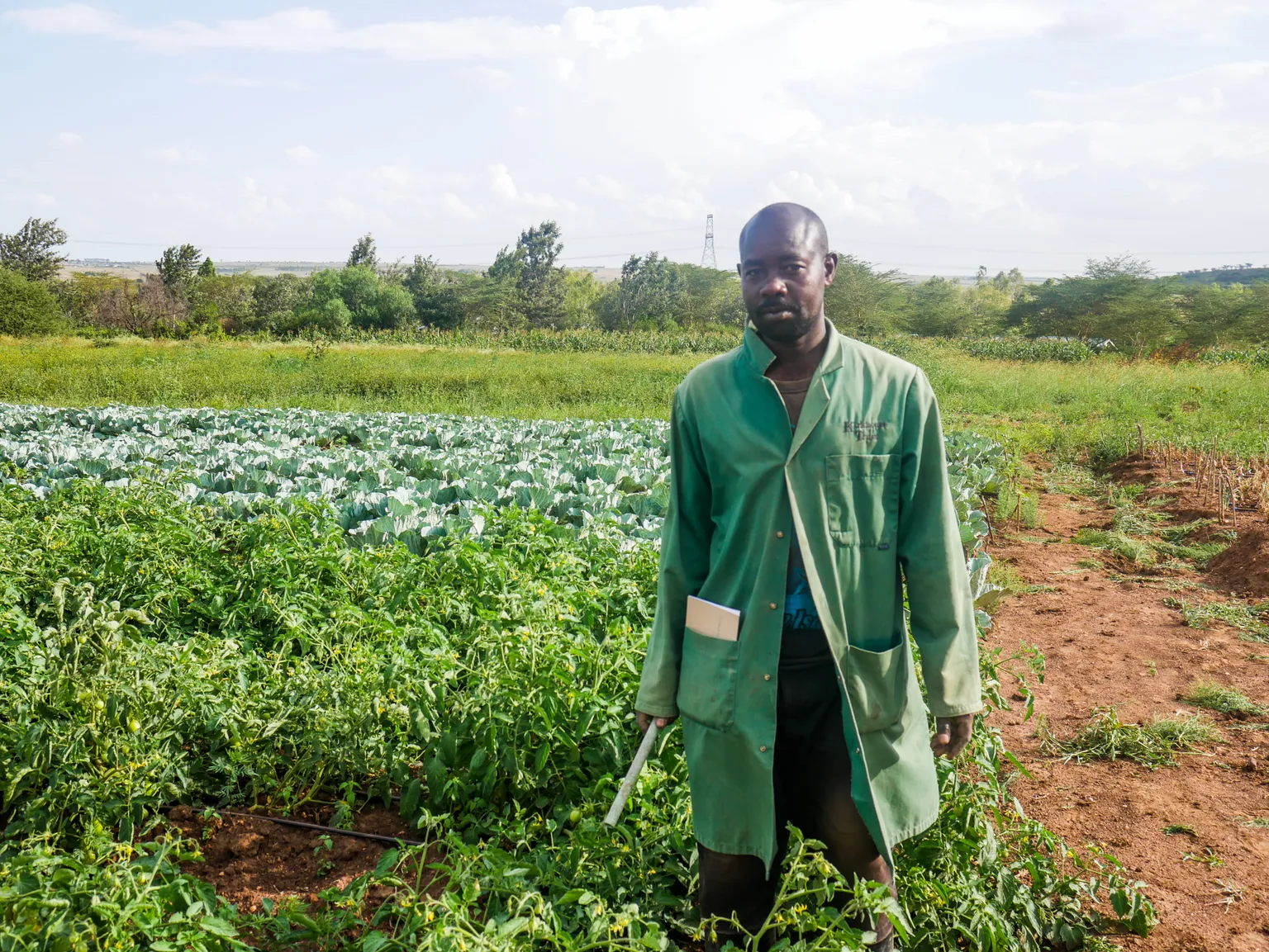 Working towards a more climate-resilient world