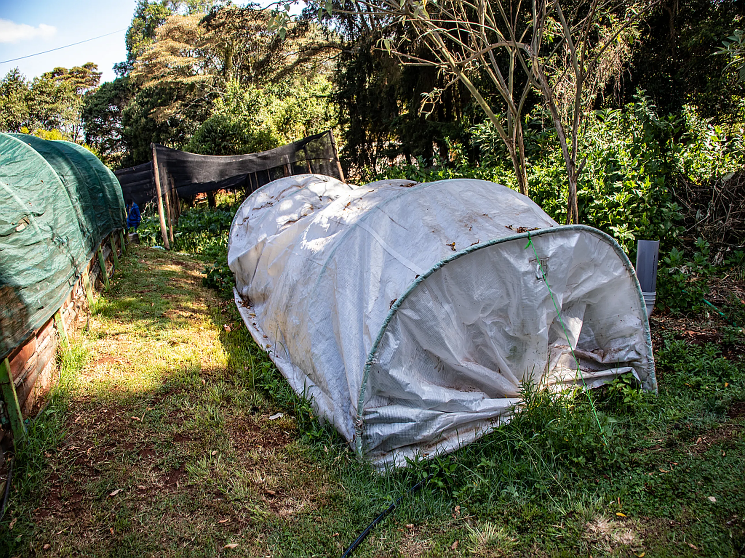 A bio digester 