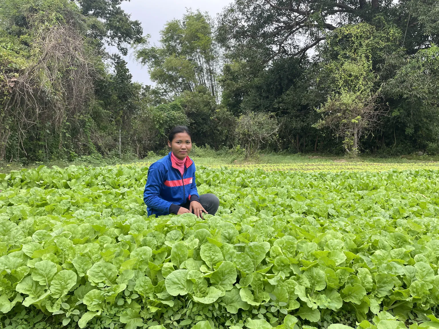 Sophea sitting in a field of lettuce