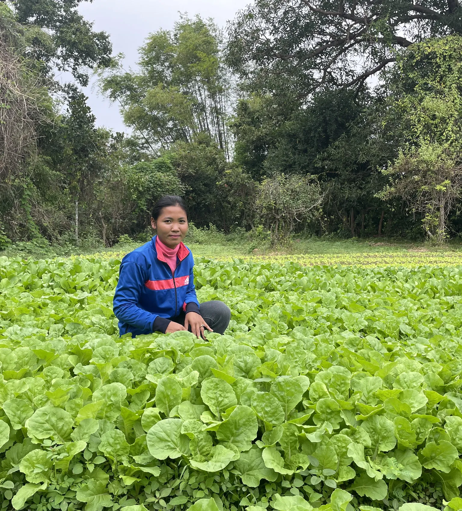 Sophea sitting in a field of lettuce