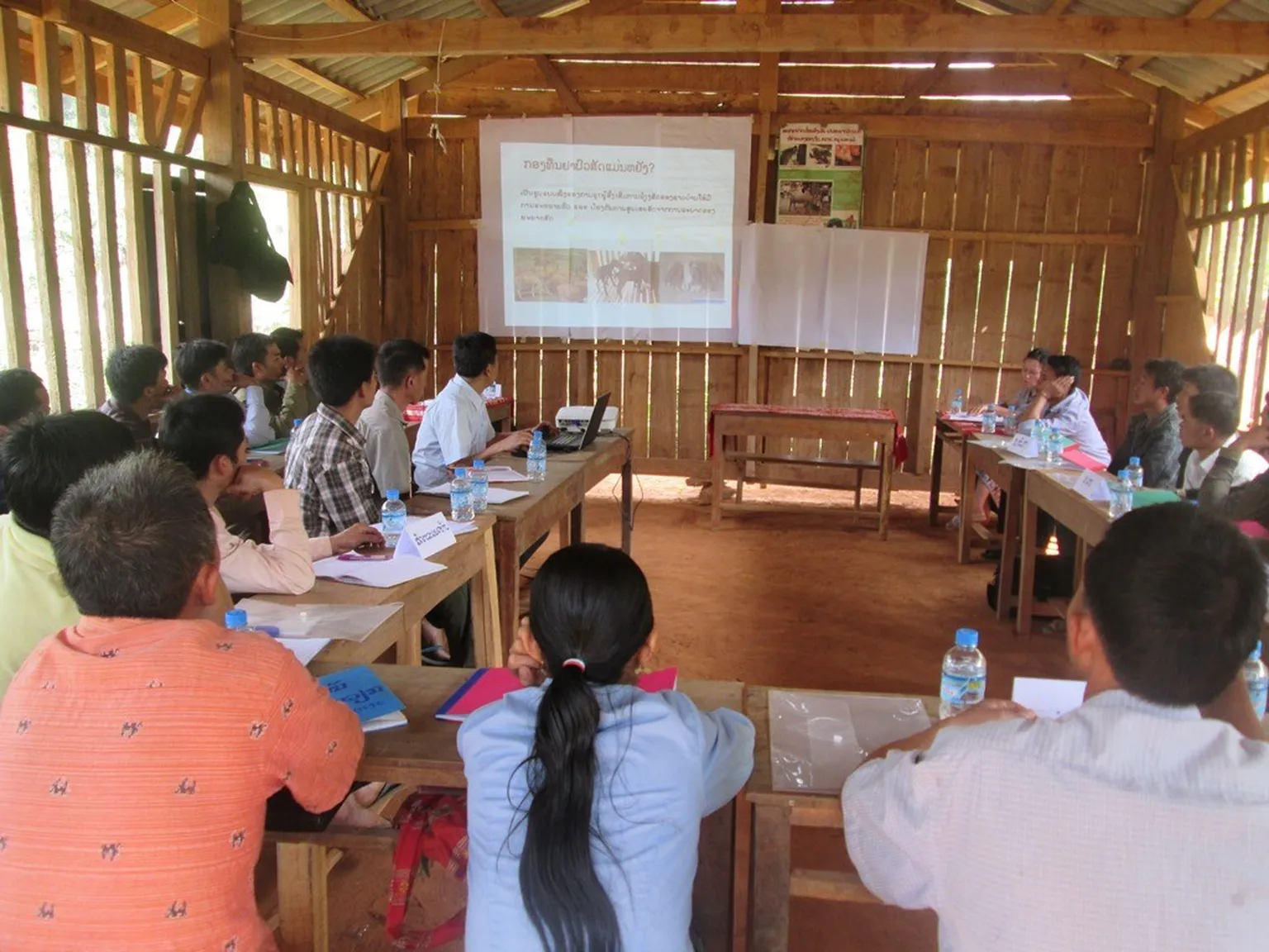 Supporting livelihoods in Houaphanh through veterinary training