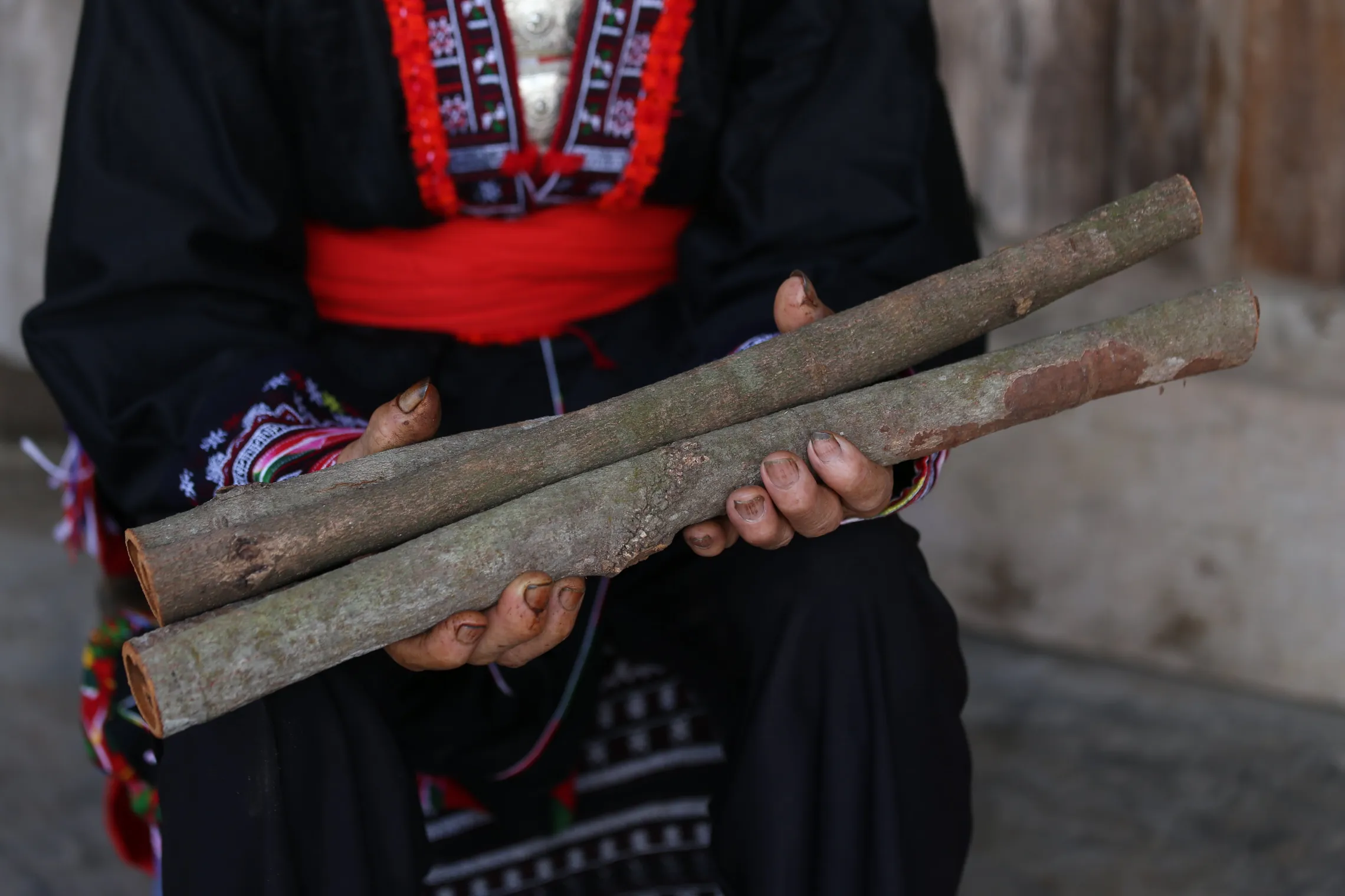 Ms. Pham and the bark of her cinnamon trees