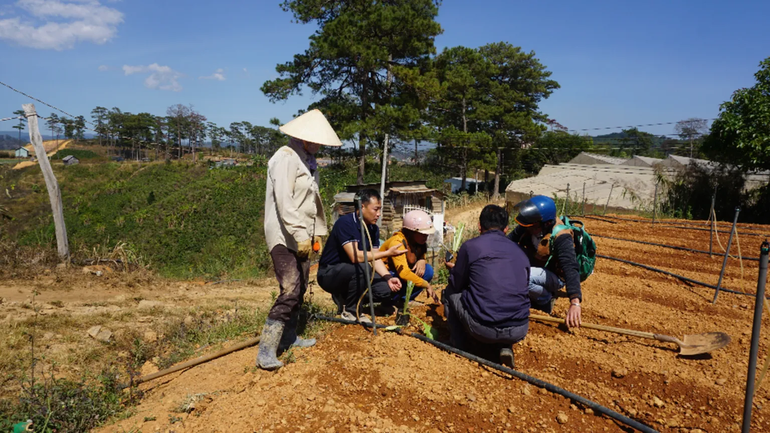 Artichoke value chain workshop