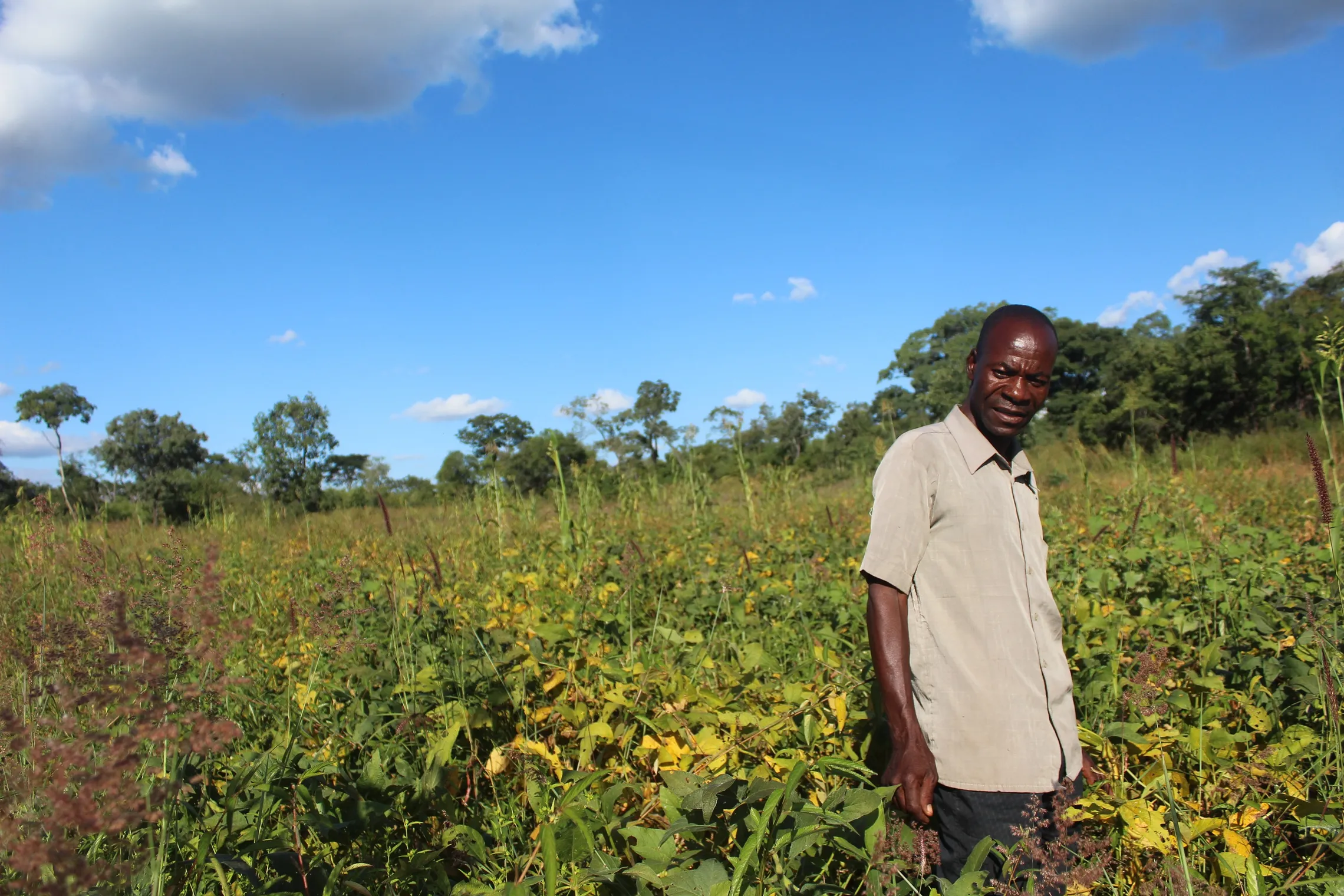 Man standing in agricultural field