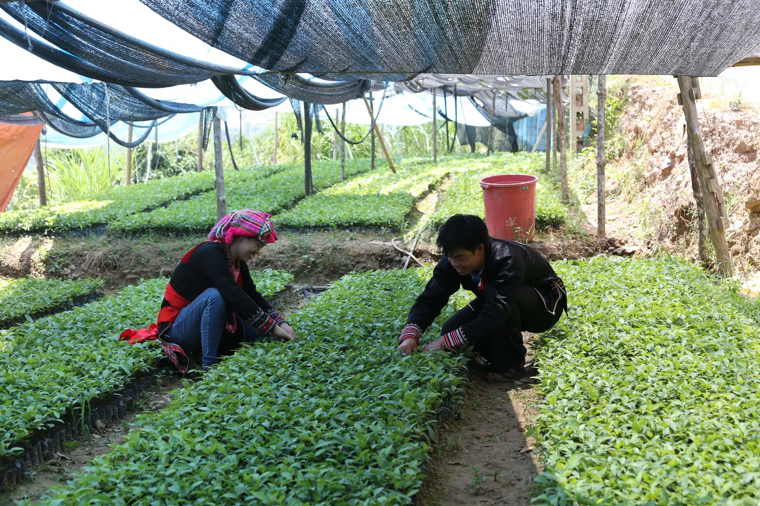High Level Delegation Visits WEAVE Project in Lao Cai Province