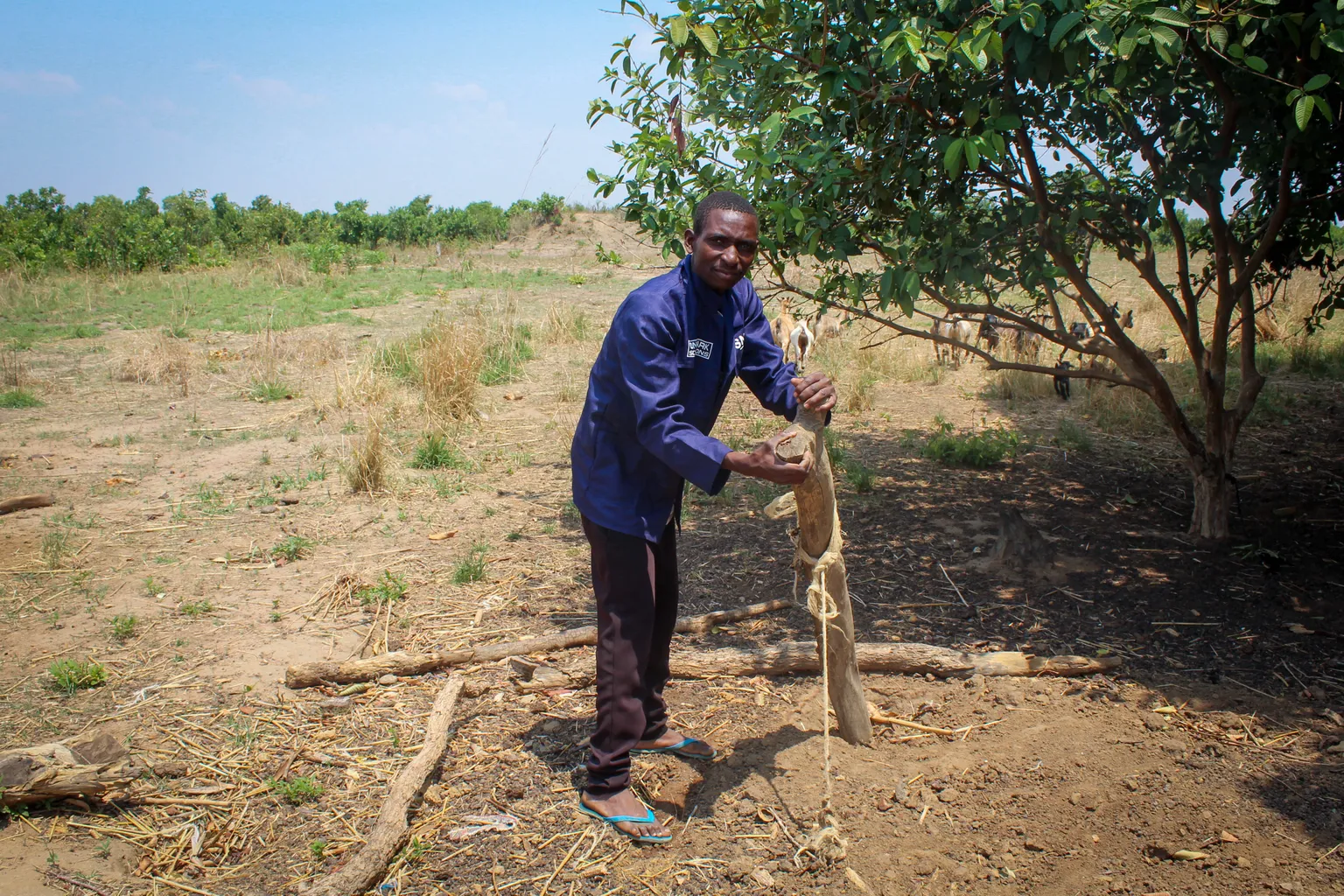 Gift setting up an area for his goats
