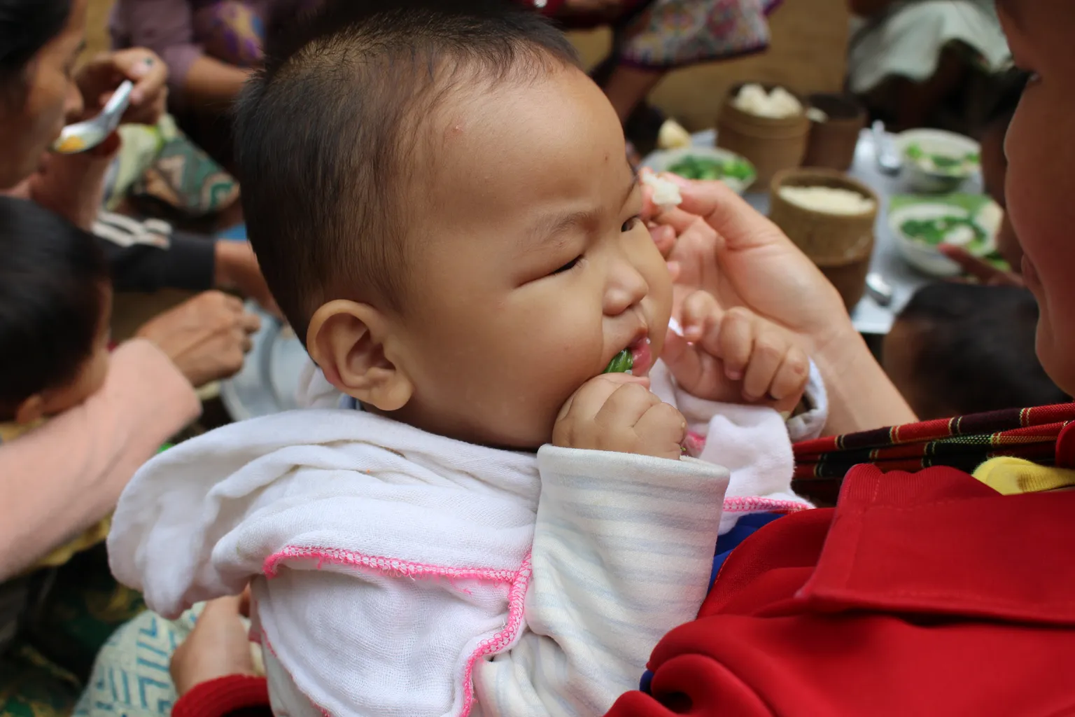 Improving nutrition in Northern Laos