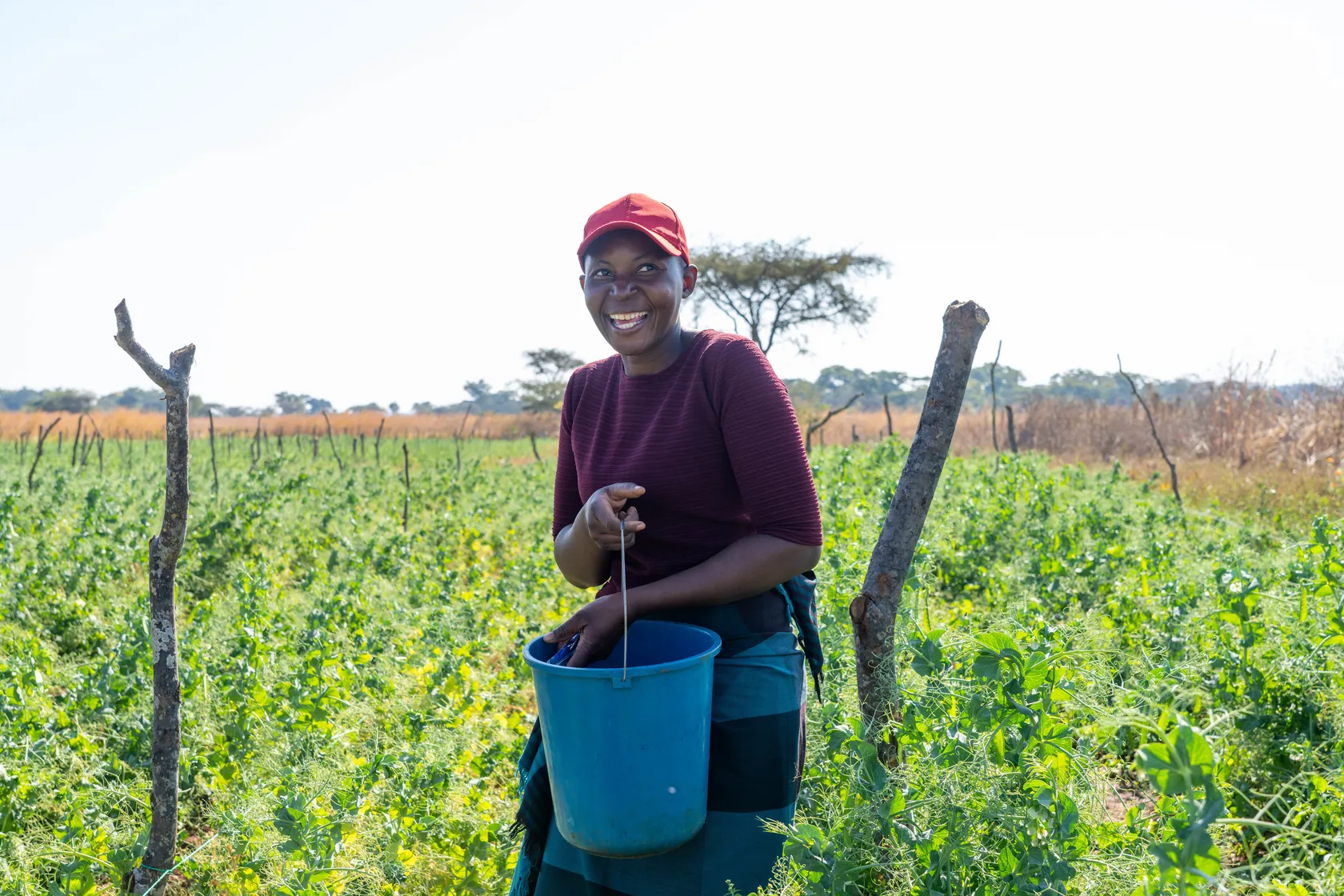 A person in a red cap smiles while holding a blue bucket in a lush green field under a clear sky.