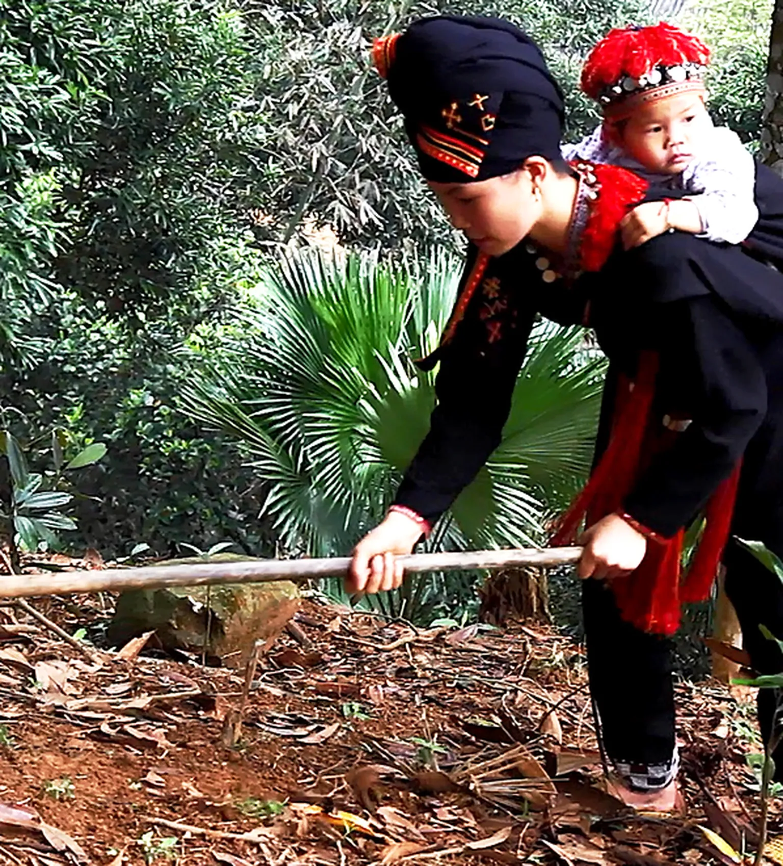 Market Access for the Poor - Supporting 24,000 households in Northern Vietnam