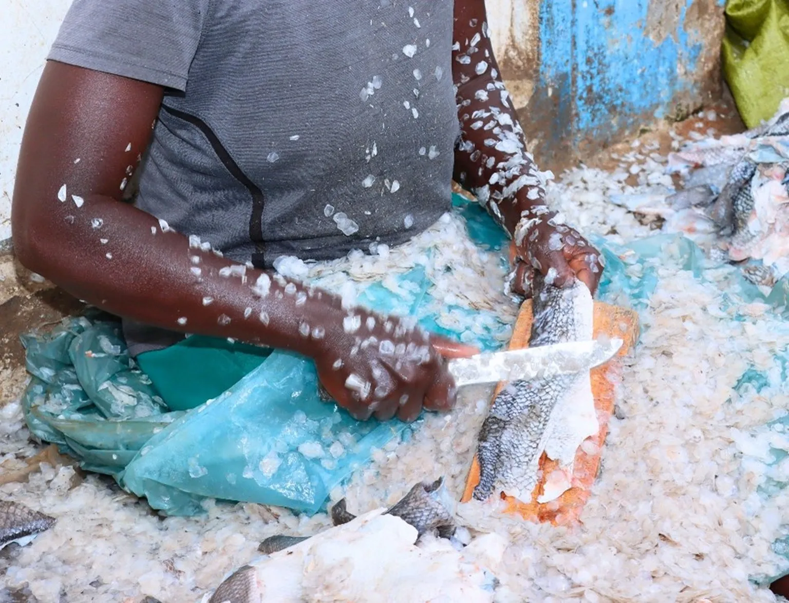 A woman removing scale from fish skin in Obunga, Kisum