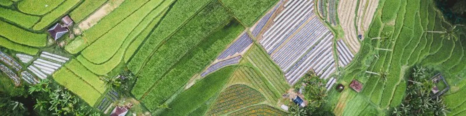 Aerial view of fields.