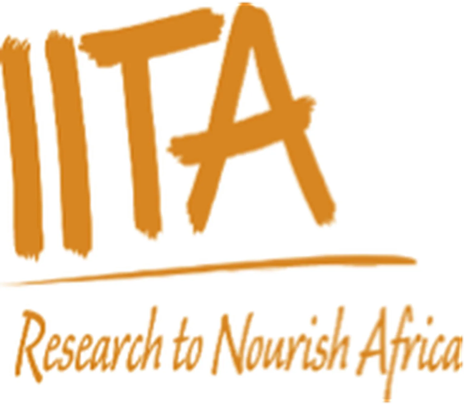 IITA logo